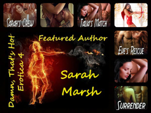 Sarah Marsh Banner 2