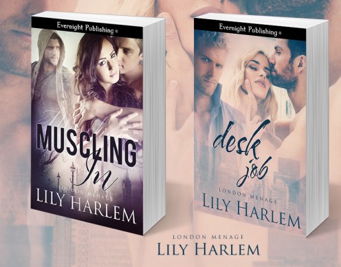 Desk-Job-evernightpublishing-JayAheer2016-large-series-3Drender