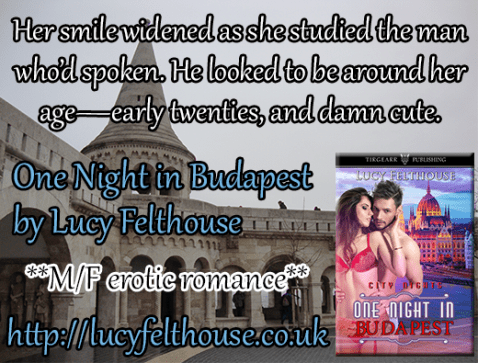 teaser_onenightinbudapest